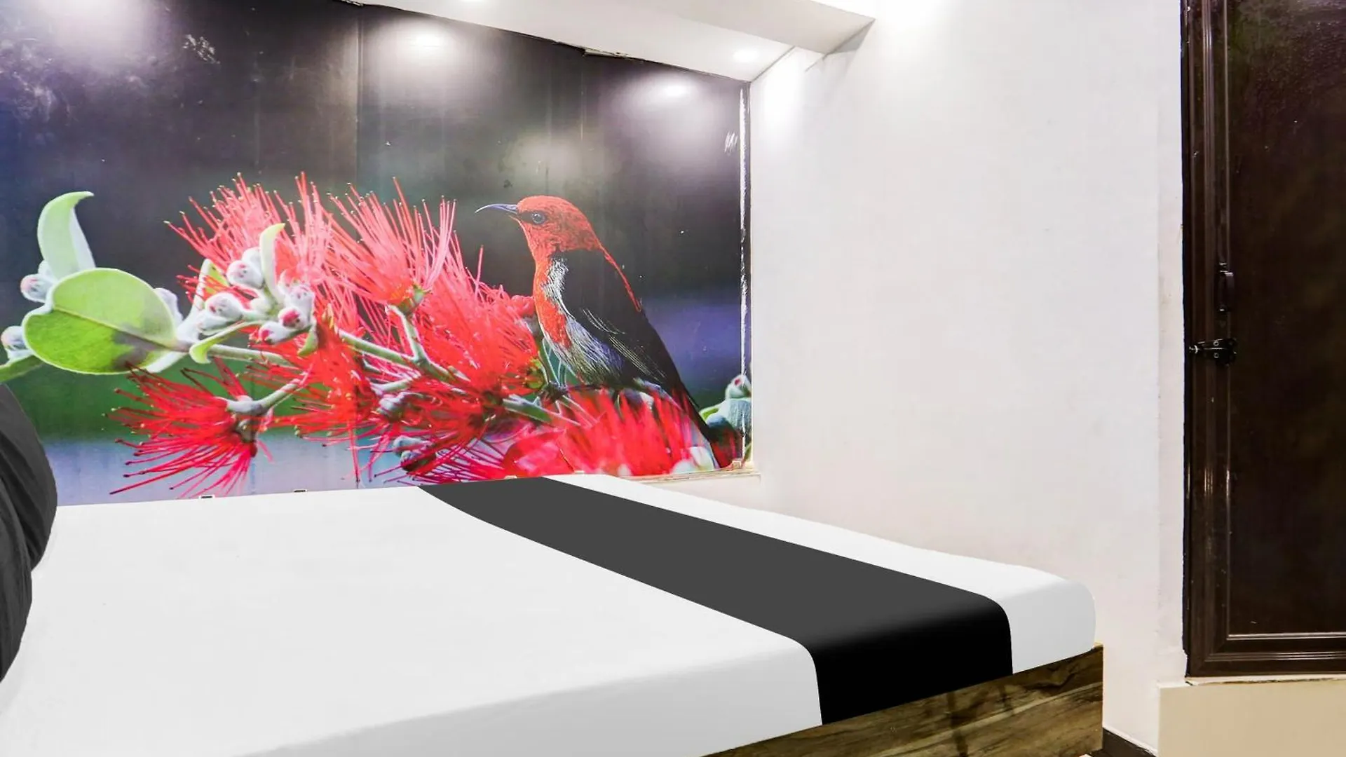 Hotel Rk Plaza New Delhi India