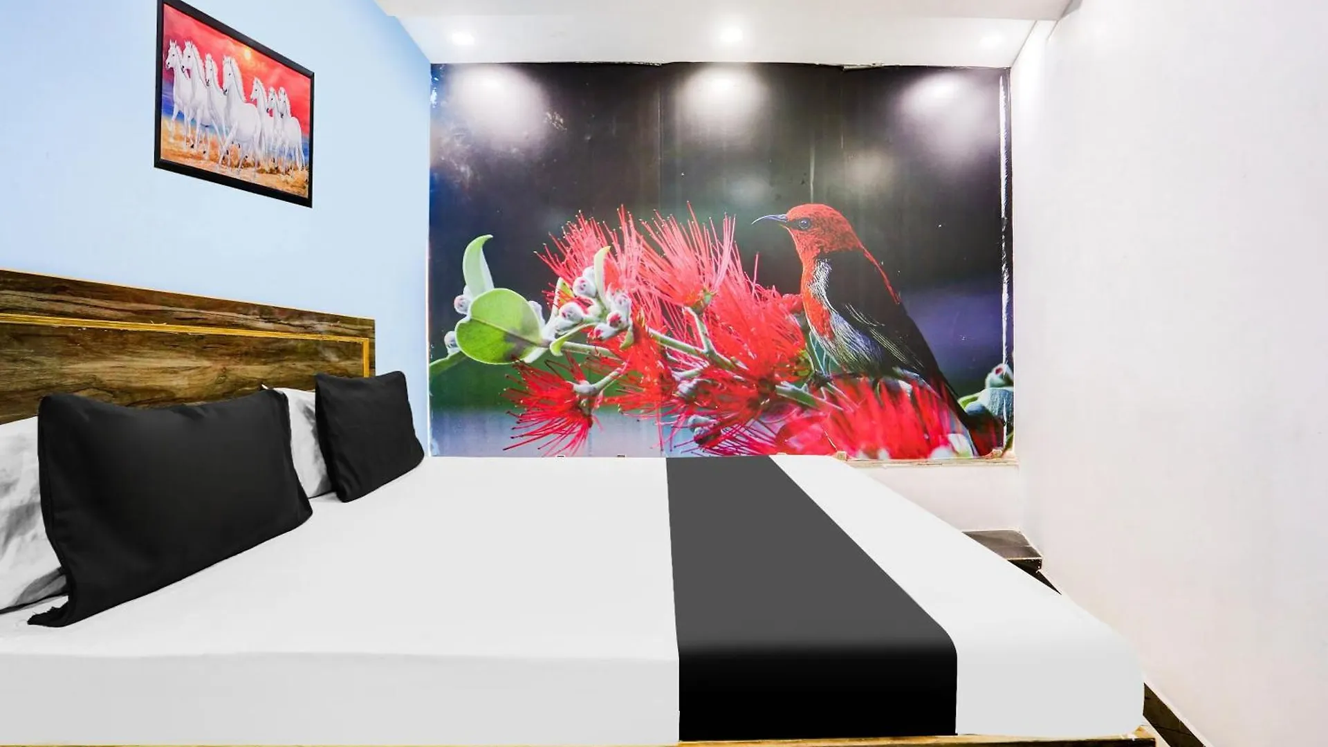 Hotel Rk Plaza New Delhi